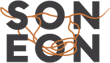 soneon
